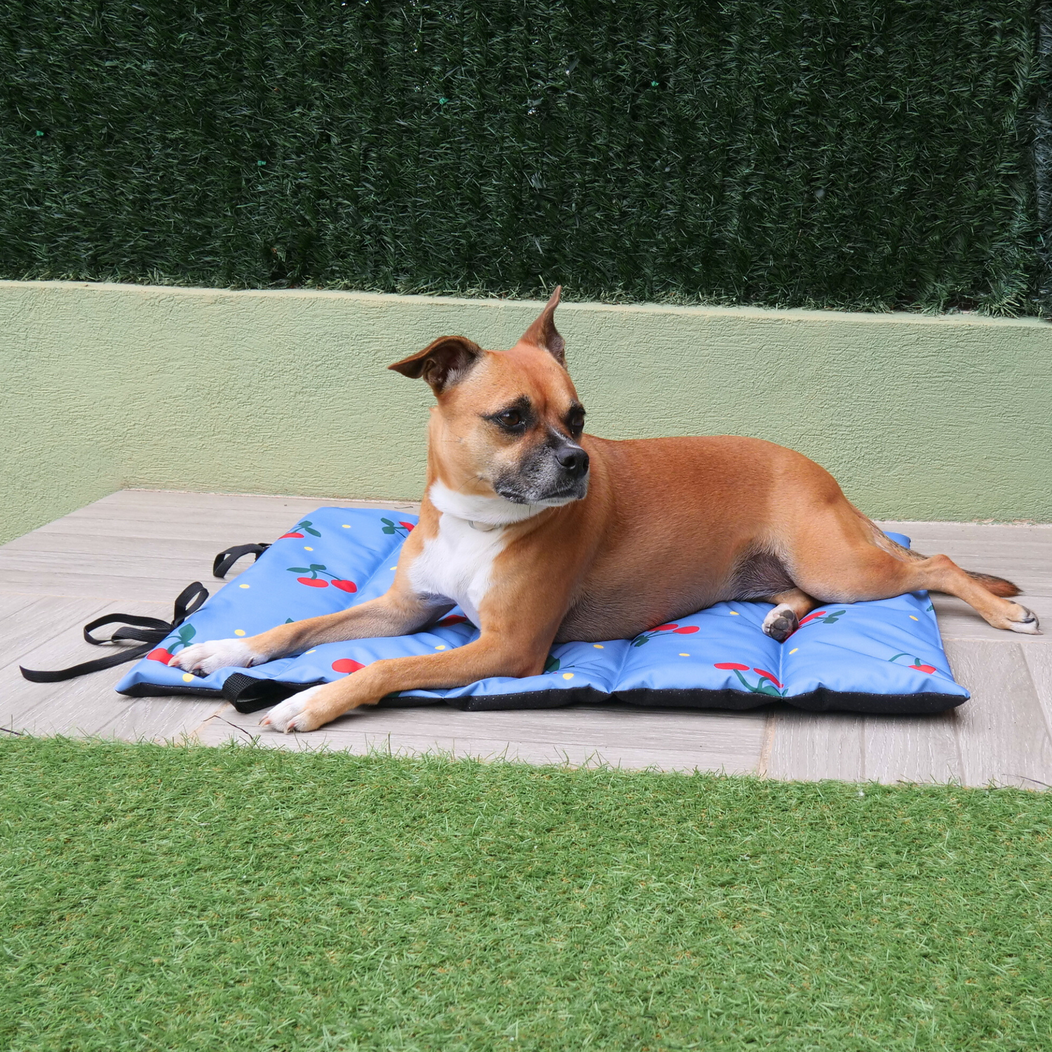 Camas portátiles My Pet Atelier