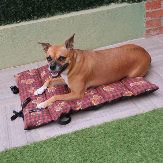 Cama portátil Perros Mi tienda