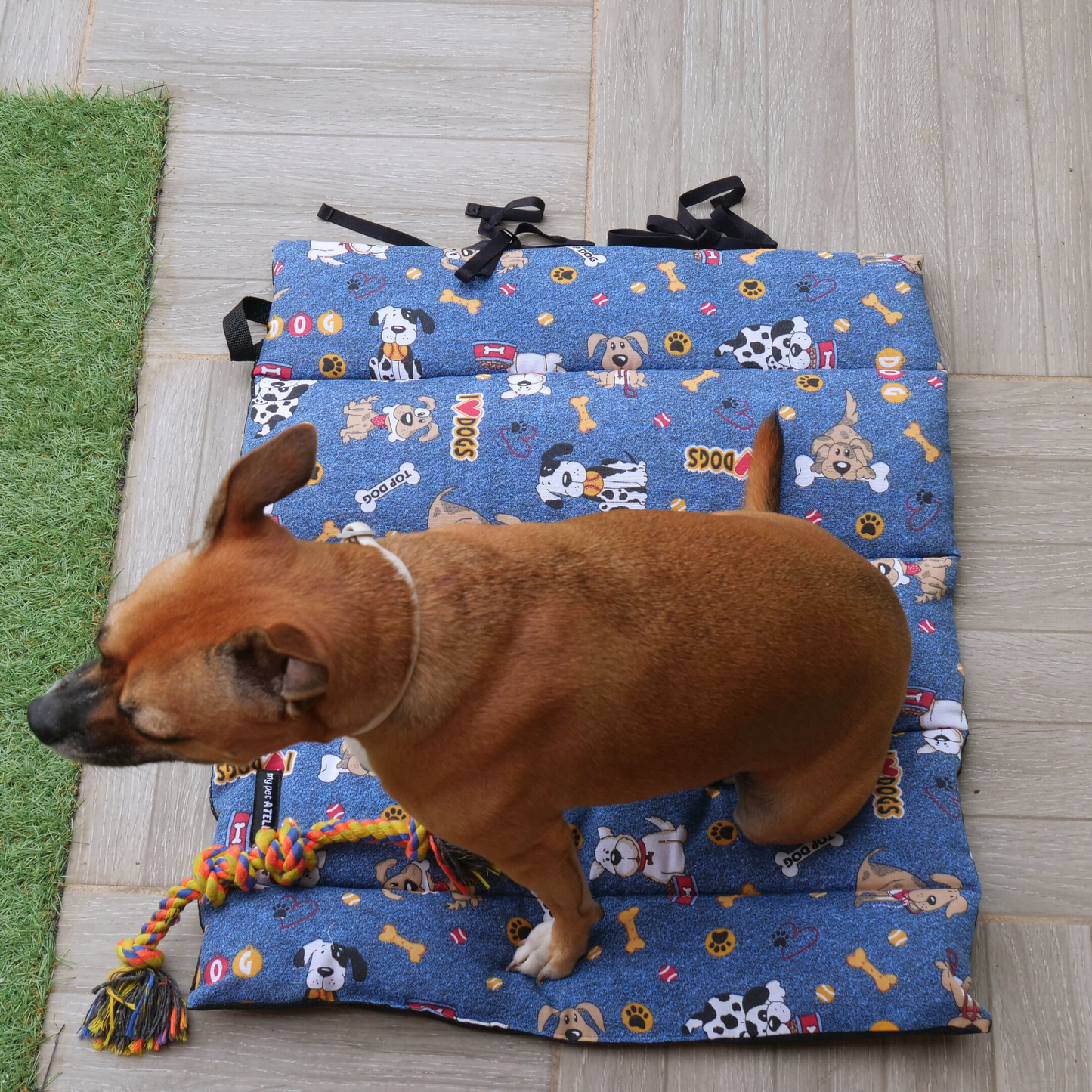 Cama portátil Vida de perros Mi tienda