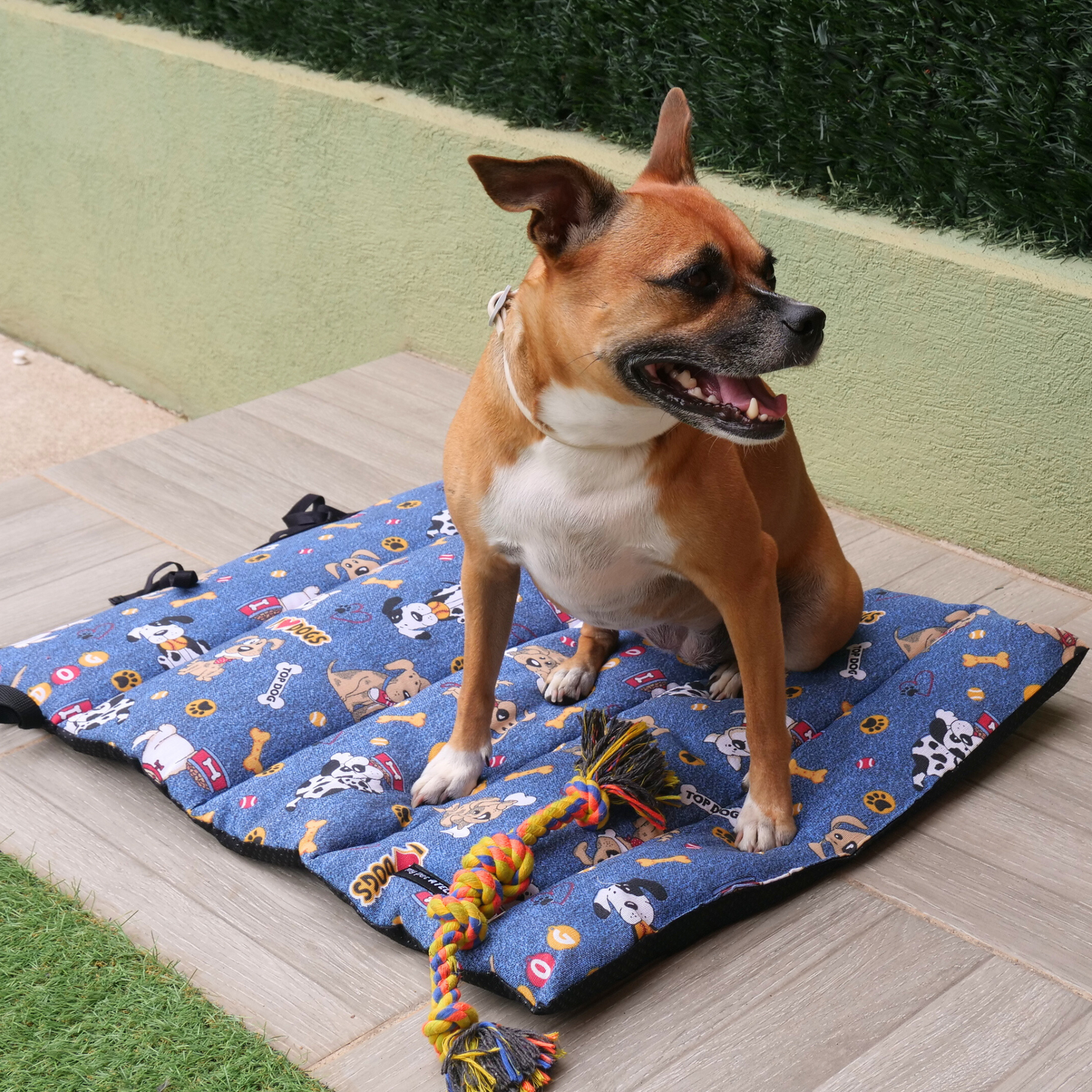 Cama portátil Vida de perros Mi tienda