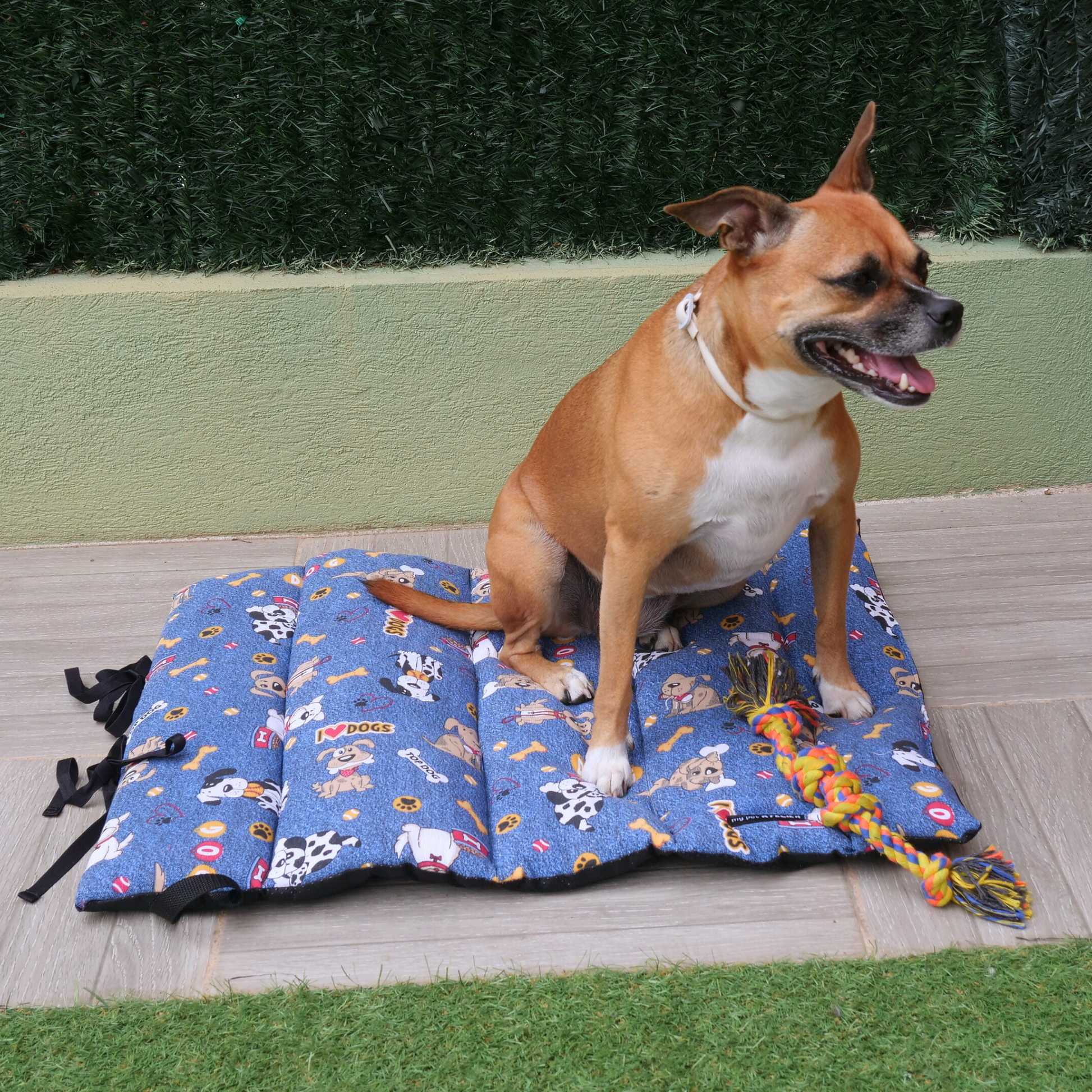 Cama portátil Vida de perros Mi tienda