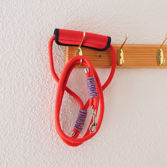 Correa de paseo para perro 'Fiesta' Mi tienda