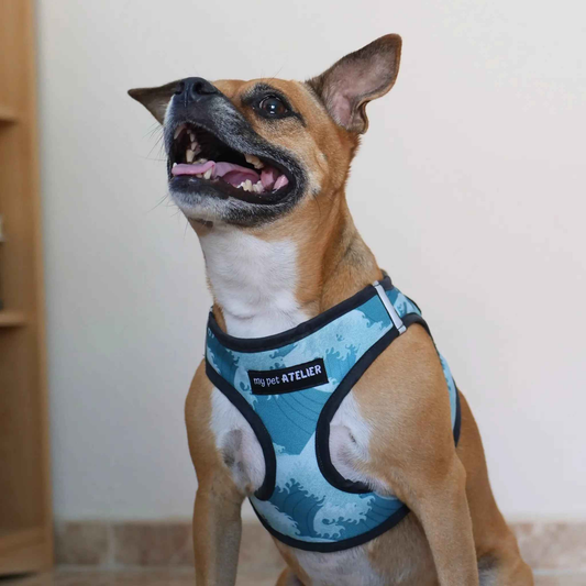 Arnés Body para perro impermeable Mar