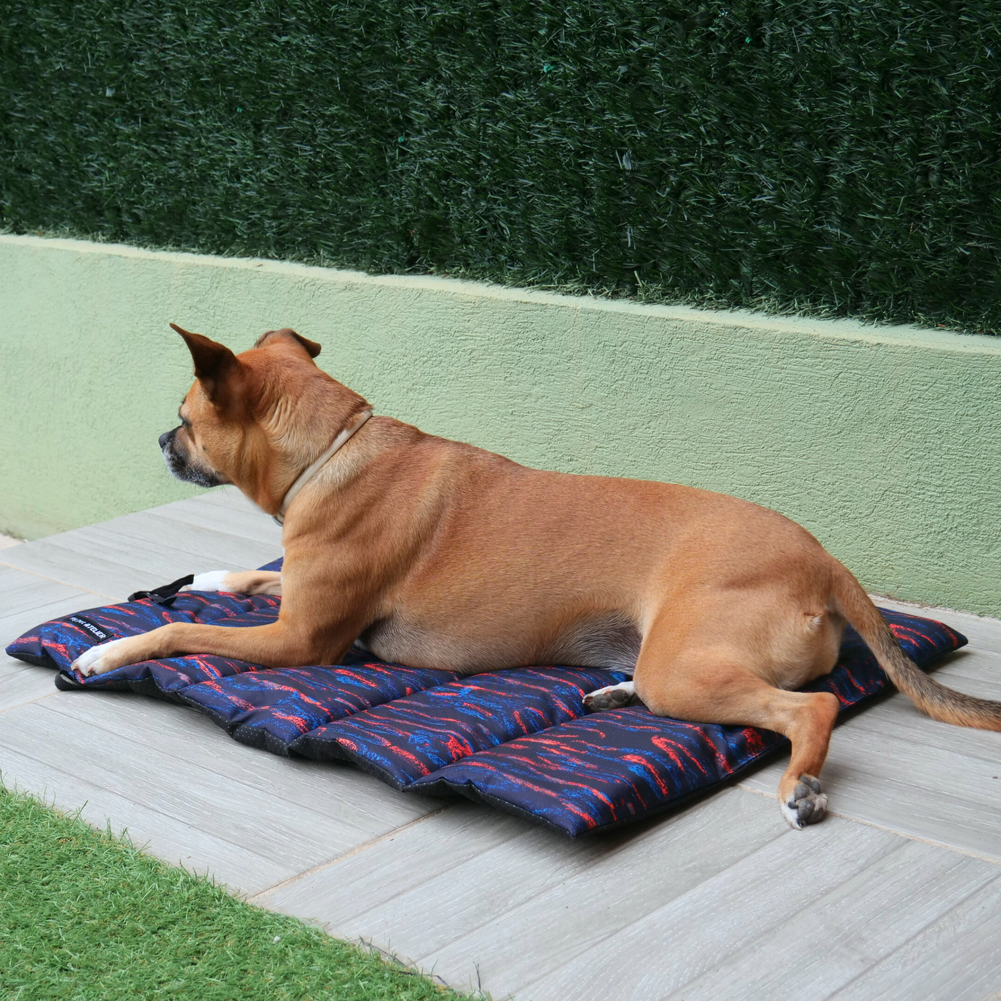 Cama portátil impermeable Noche Mi tienda