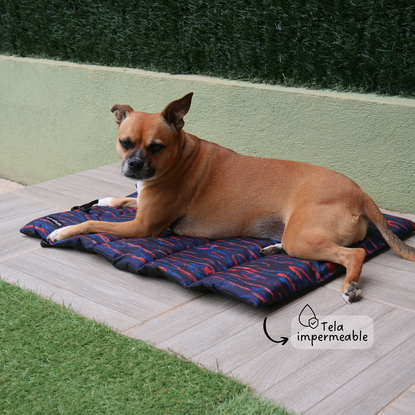 Cama portátil impermeable Noche Mi tienda