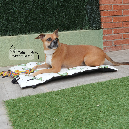 Cama portátil impermeable Kiwi Mi tienda