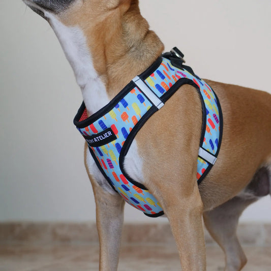 Arnés Body 'Helados' Mi tienda