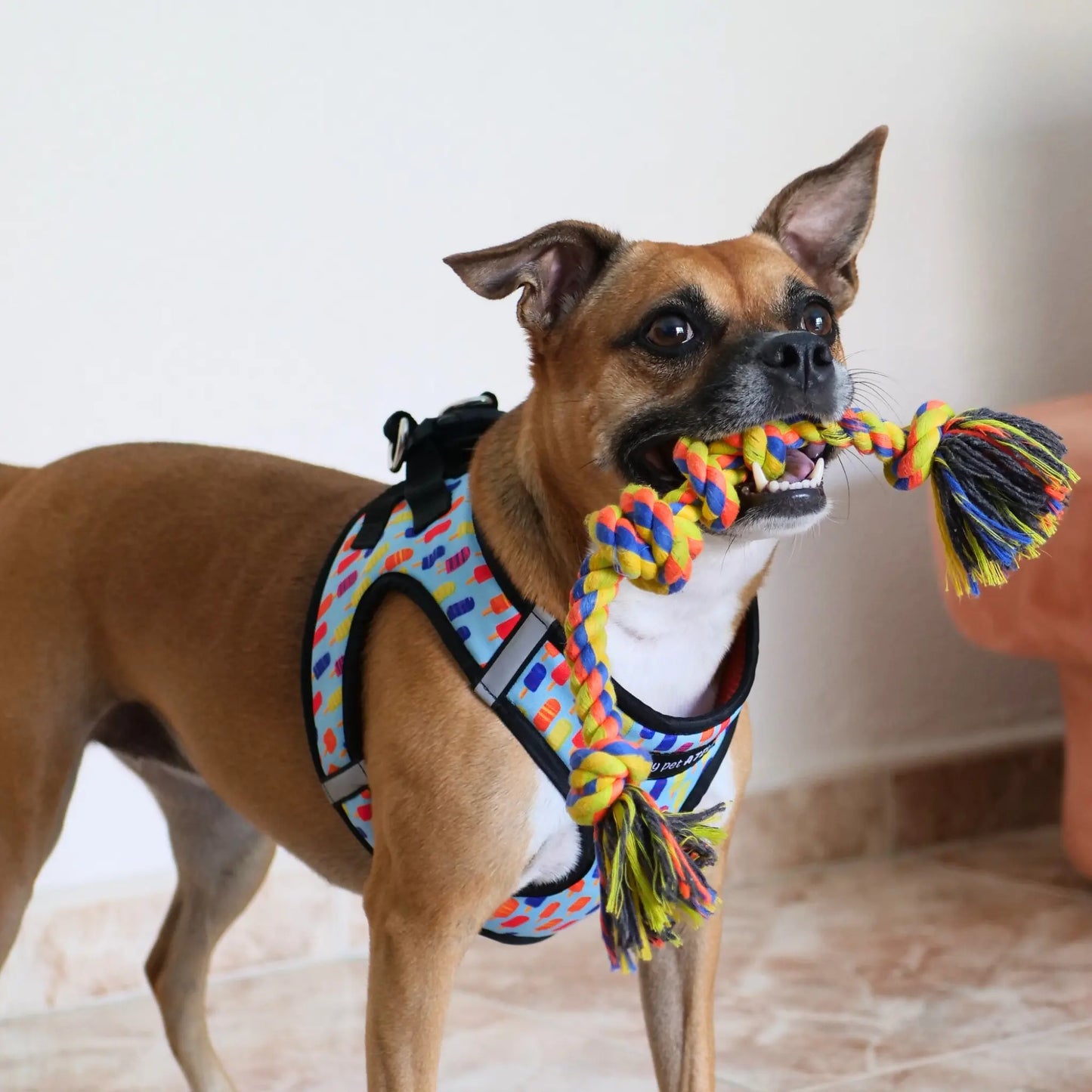 Arnés Body 'Helados' Mi tienda