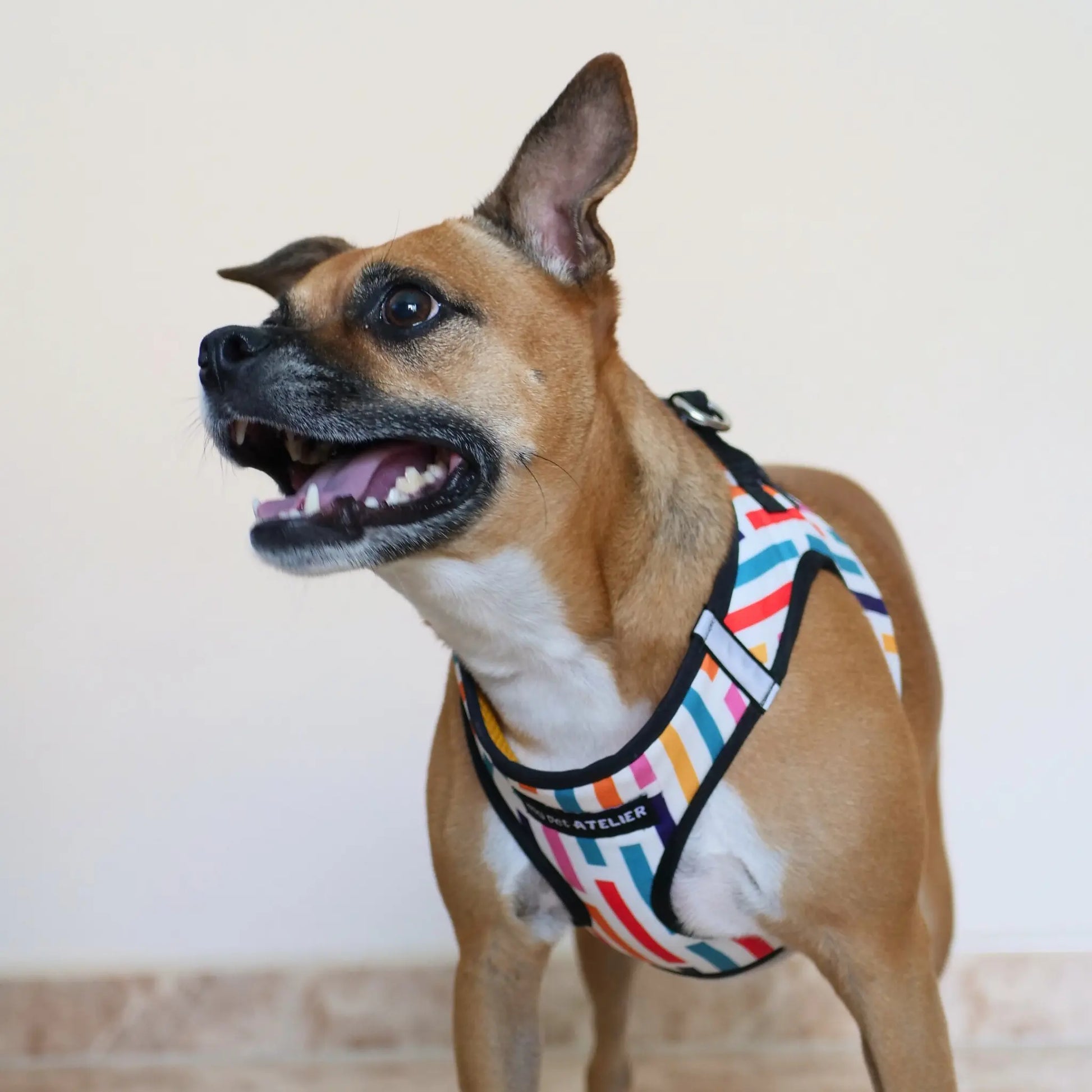 Arnés Body 'Fiesta' Mi tienda