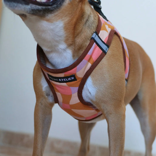 Arnés Body 'Rosé' Mi tienda