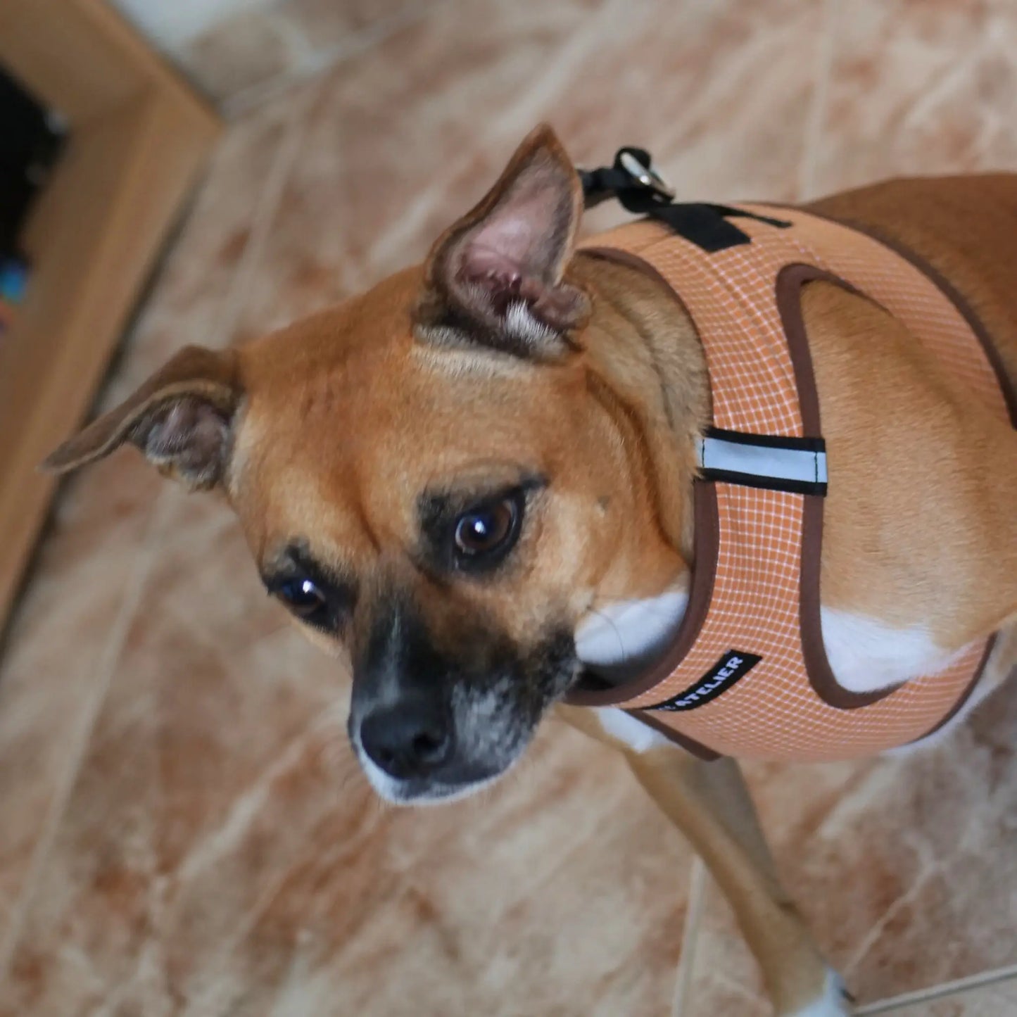 Arnés Body 'Vichy' Mi tienda