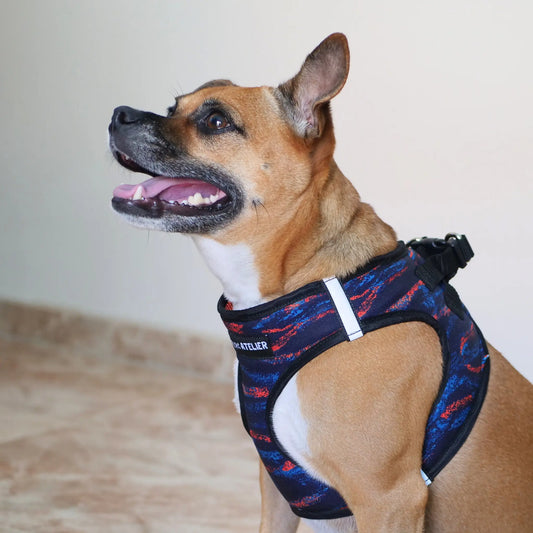 Arnés Body 'Noche' Mi tienda