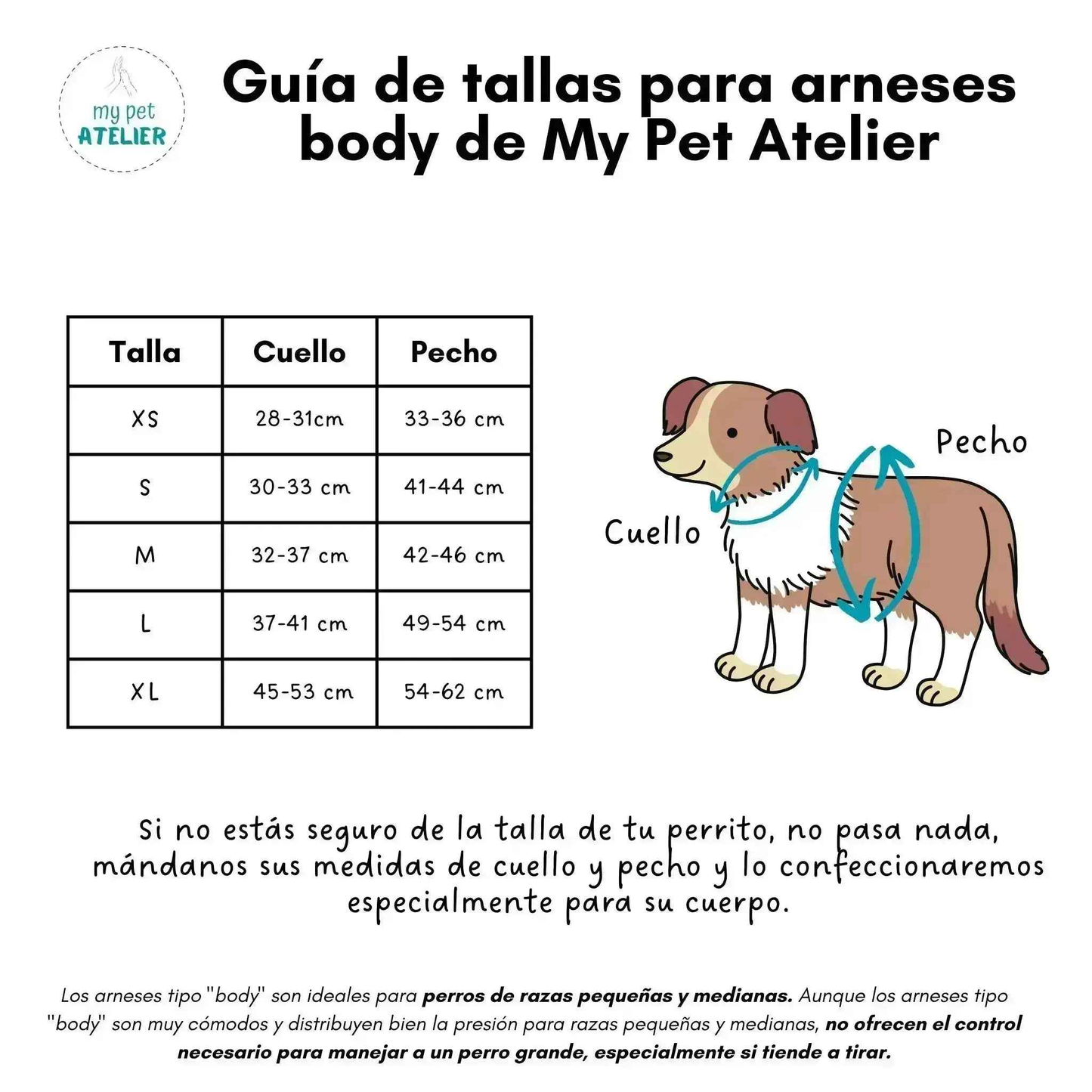 Arnés Body para perro minimalista y ligero Cuadros