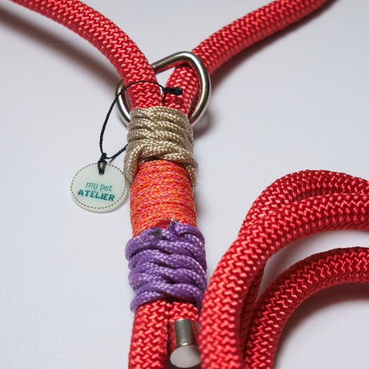 Correa de paseo para perro color rosa con diseño de fresa, ideal para paseos seguros y cómodos con tu mascota.