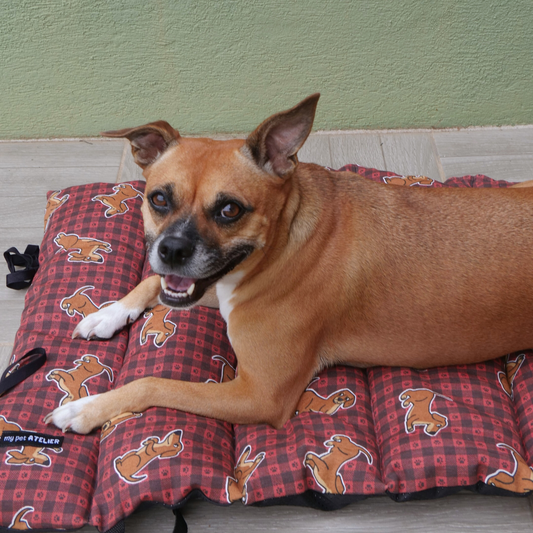 Cama portátil Perros Mi tienda