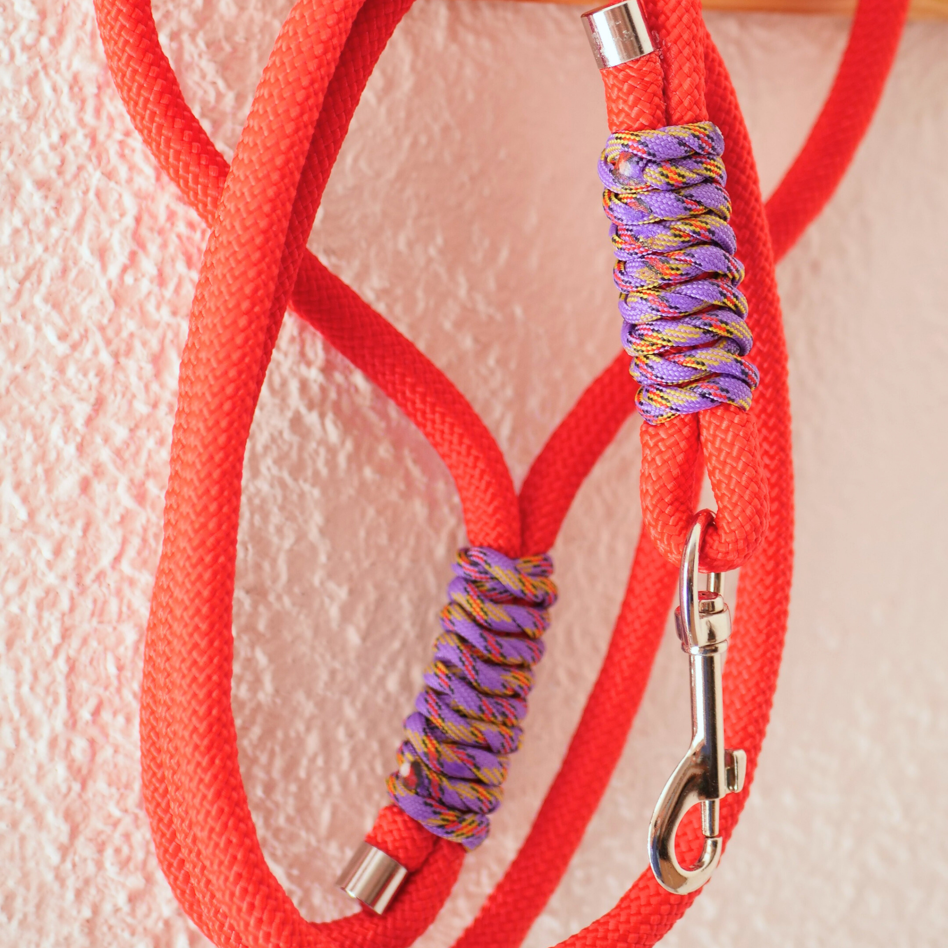 Correa de paseo para perro 'Fiesta' Mi tienda