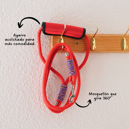 Correa de paseo para perro 'Fiesta' Mi tienda