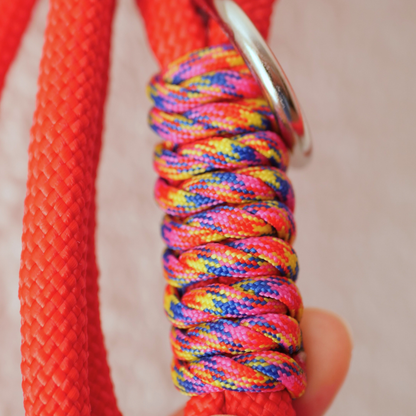 Correa de paseo para perro 'Love' Mi tienda