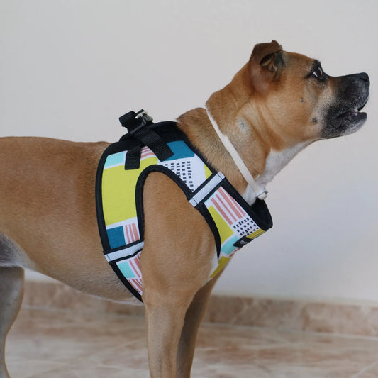 Arnés Body 'Thor' Mi tienda