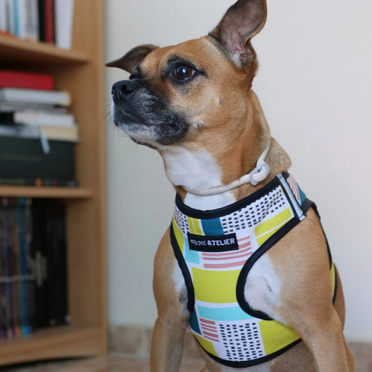 Arnés Body 'Thor' Mi tienda