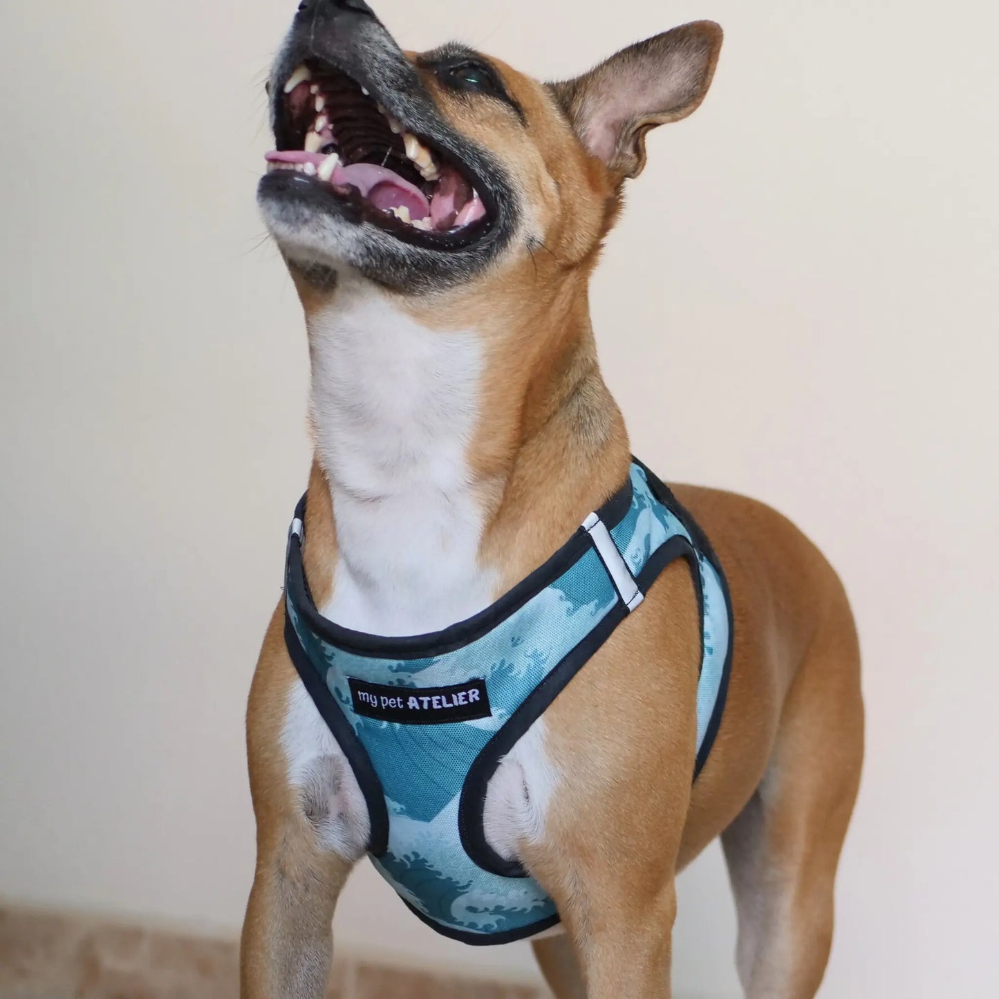 Arnés Body 'Mar' Mi tienda