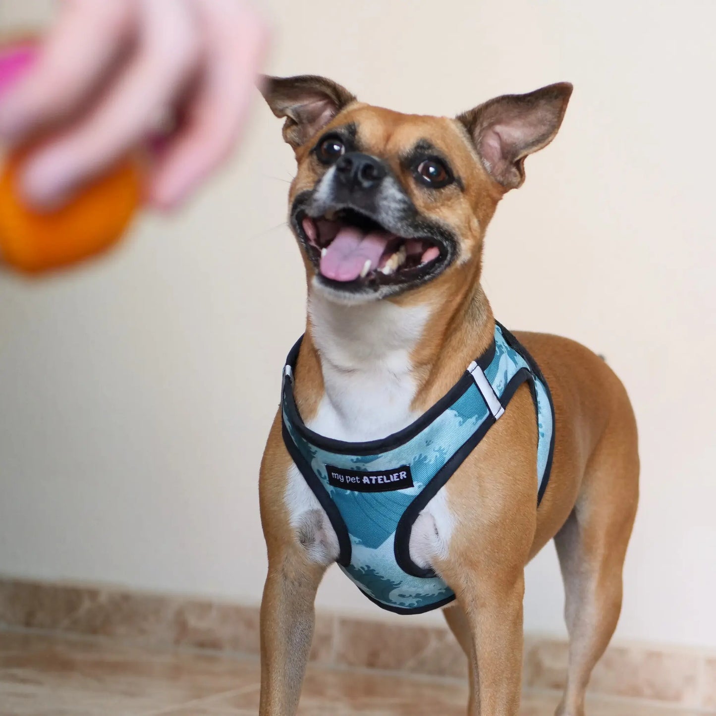 Arnés Body 'Mar' Mi tienda