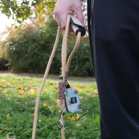 Dispensador de bolsas paseo Perros