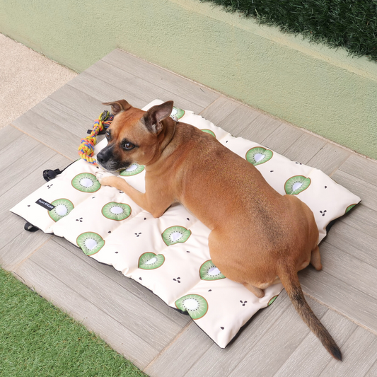 Cama portátil impermeable Kiwi Mi tienda