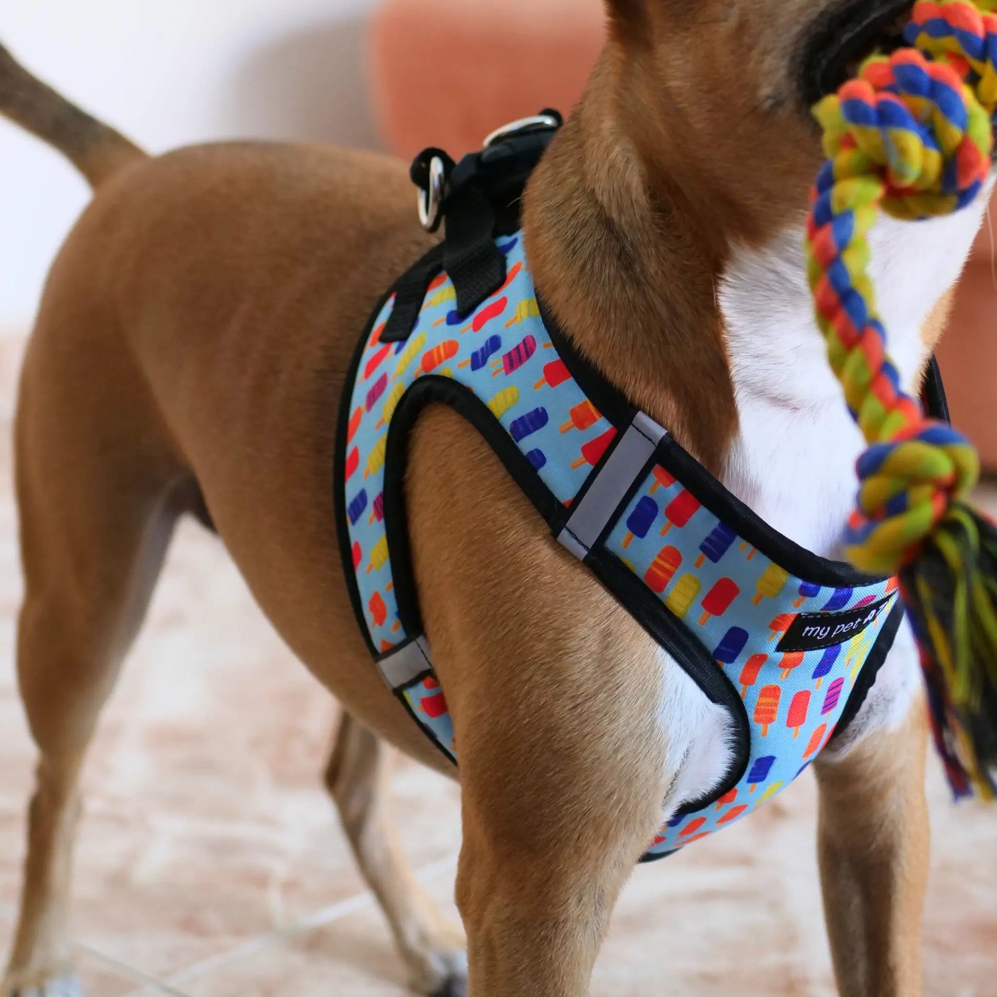 Arnés Body 'Helados' Mi tienda