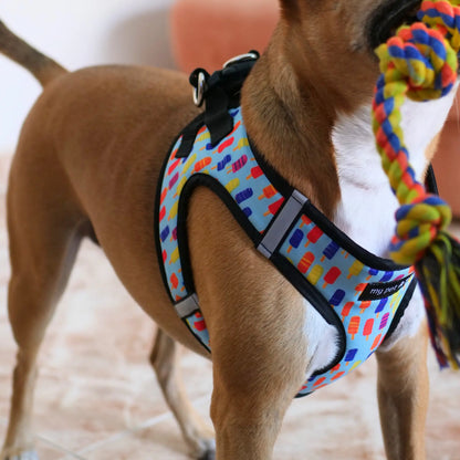 Arnés Body 'Helados' Mi tienda