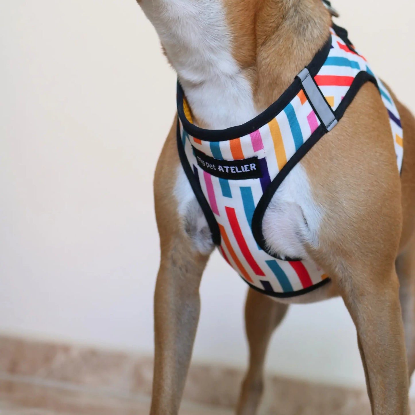 Arnés Body 'Fiesta' Mi tienda