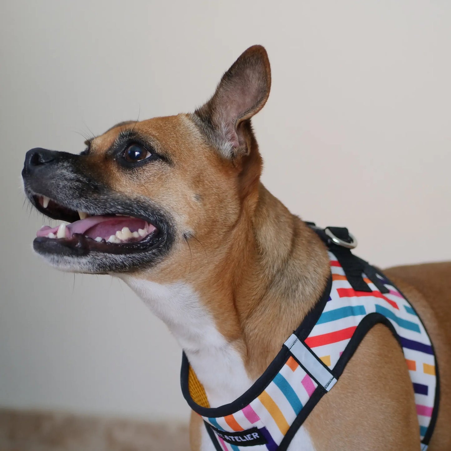 Arnés Body 'Fiesta' Mi tienda