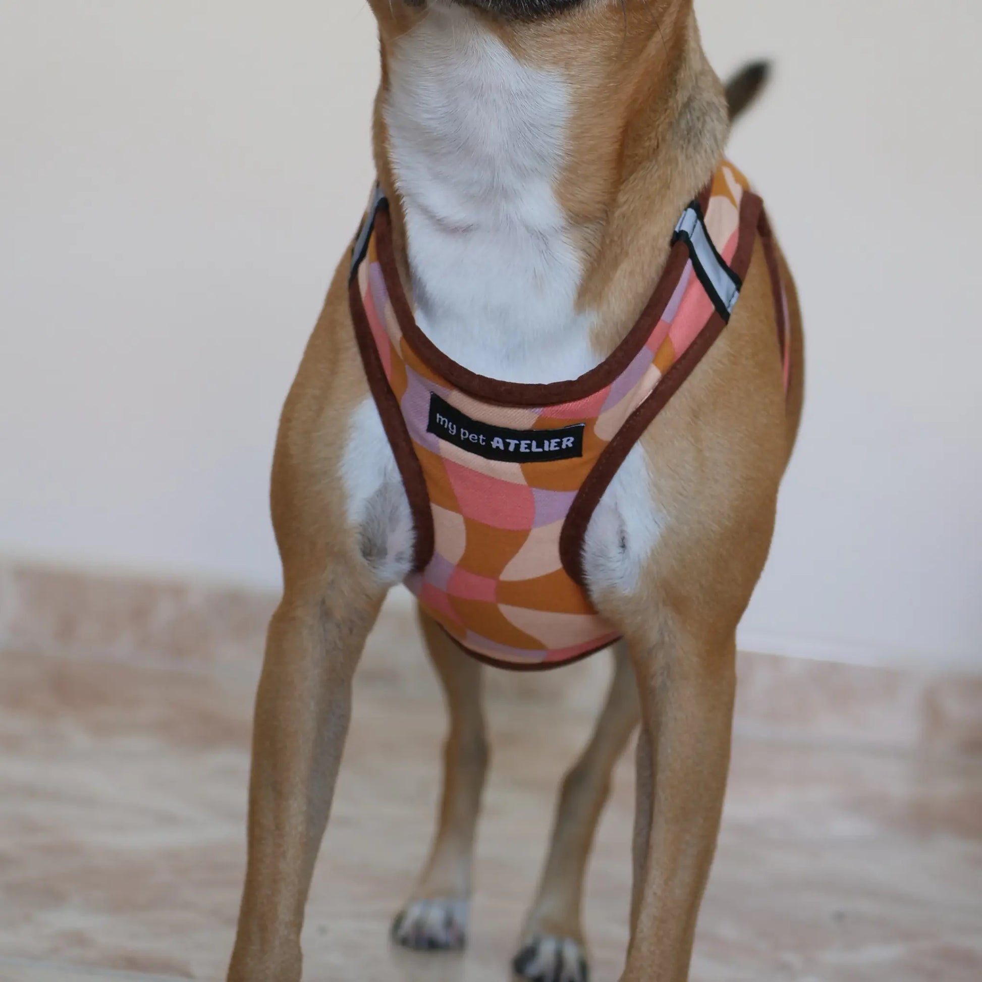 Arnés Body 'Rosé' Mi tienda