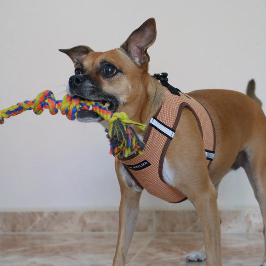 Arnés Body 'Vichy' Mi tienda