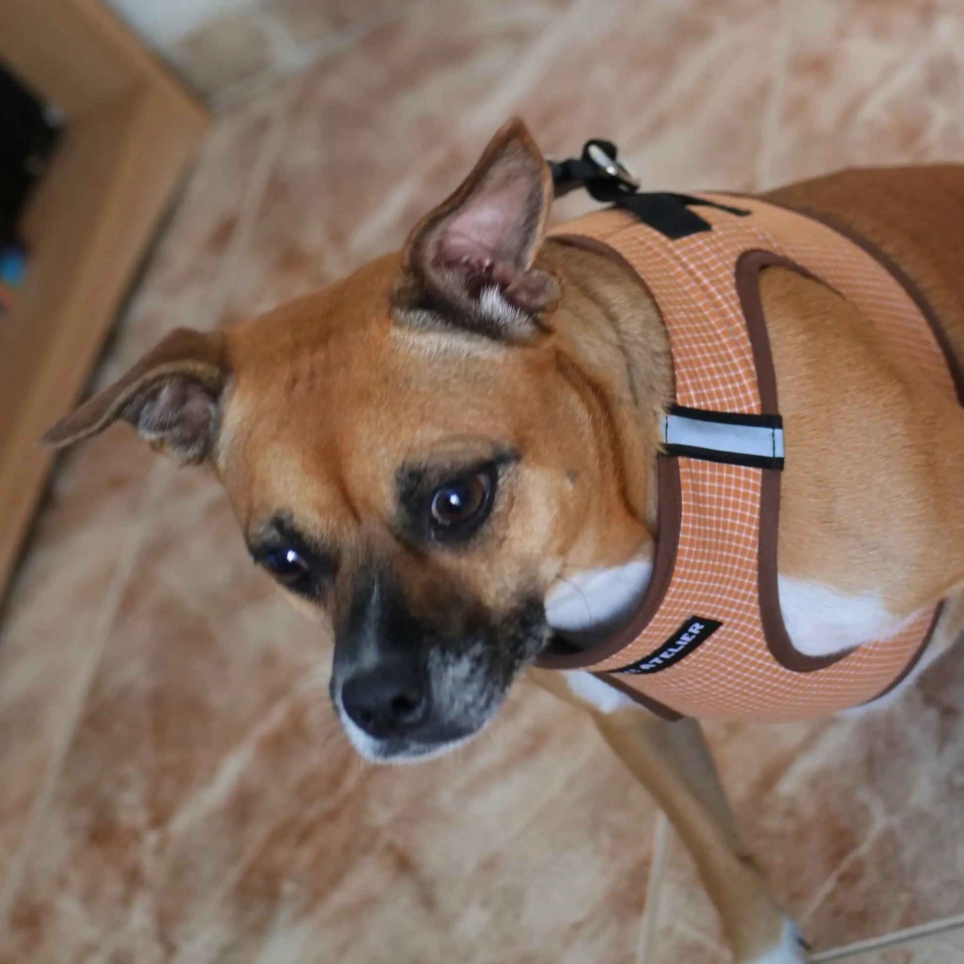 Arnés Body 'Vichy' Mi tienda