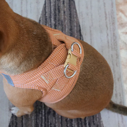 Arnés para perro 'Cuadros'