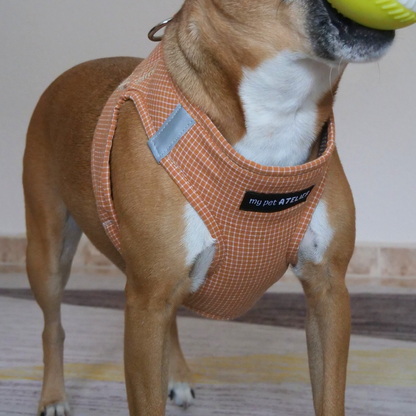 Arnés para perro 'Cuadros'