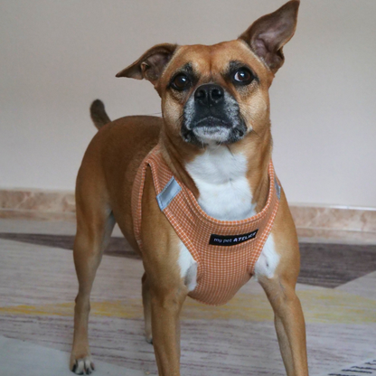 Arnés para perro 'Cuadros'