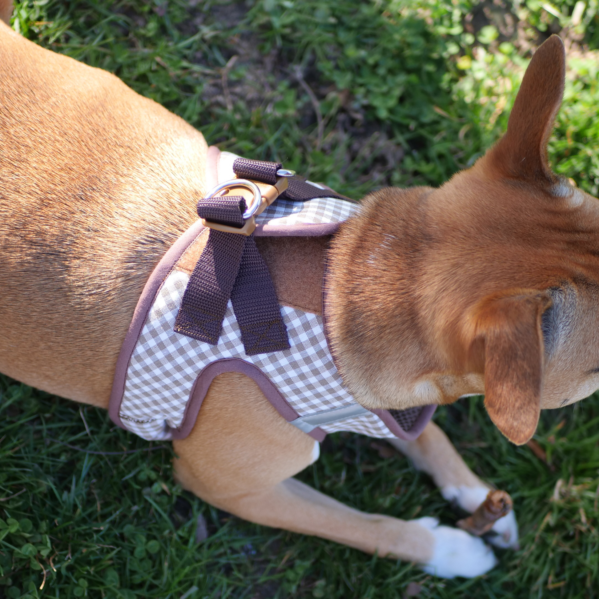 arnes body para perro vichy marron