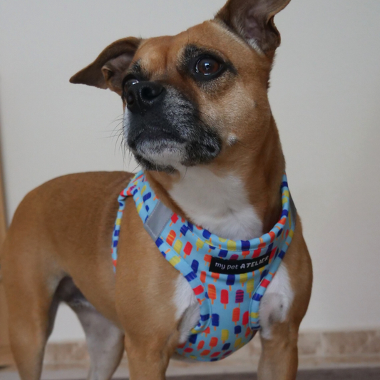 Arnés para perro 'Helados'