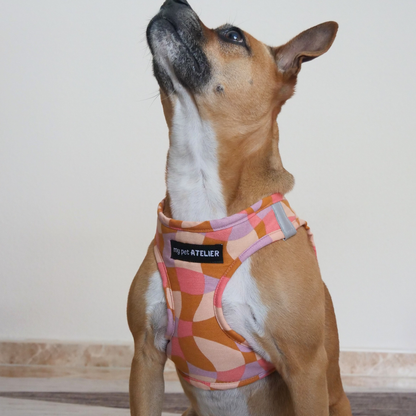 Arnés body para perro ligero y ergonómico Rosé - My Pet Atelier
