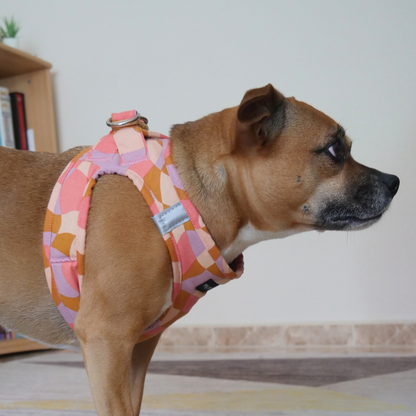 Arnés body para perro ligero y ergonómico Rosé - My Pet Atelier