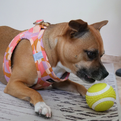 Arnés body para perro ligero y ergonómico Rosé - My Pet Atelier