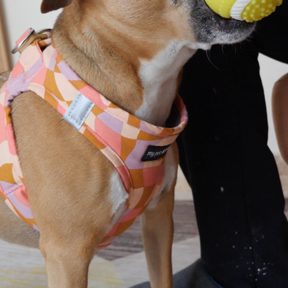 Arnés body para perro ligero y ergonómico Rosé - My Pet Atelier