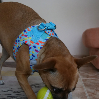 Arnés para perro 'Helados'