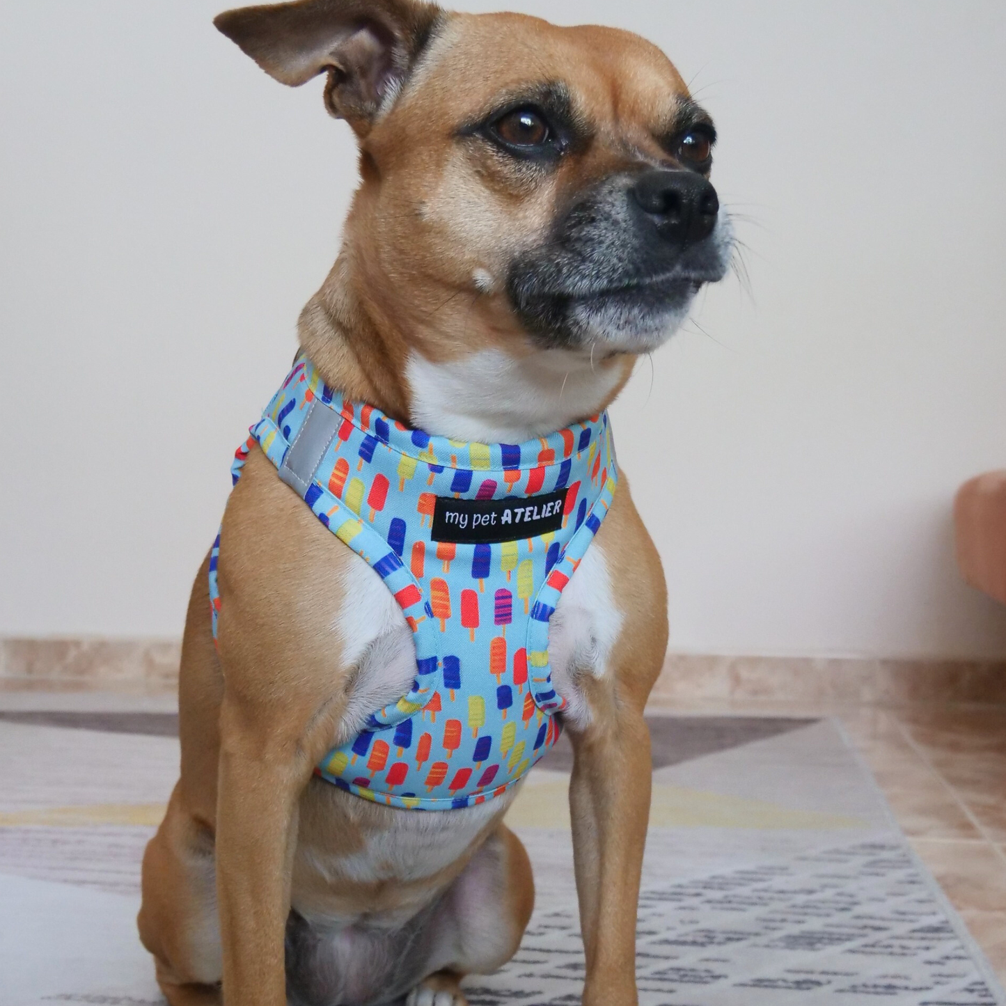 Arnés para perro 'Helados'