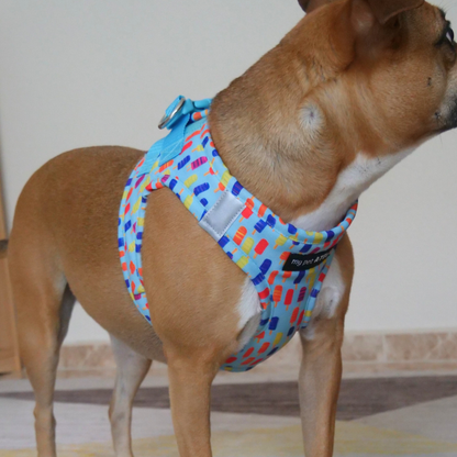 Arnés para perro 'Helados'