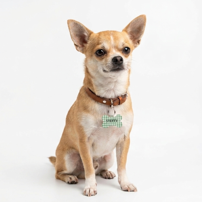 Chapa identificativa para perros - verde vichy