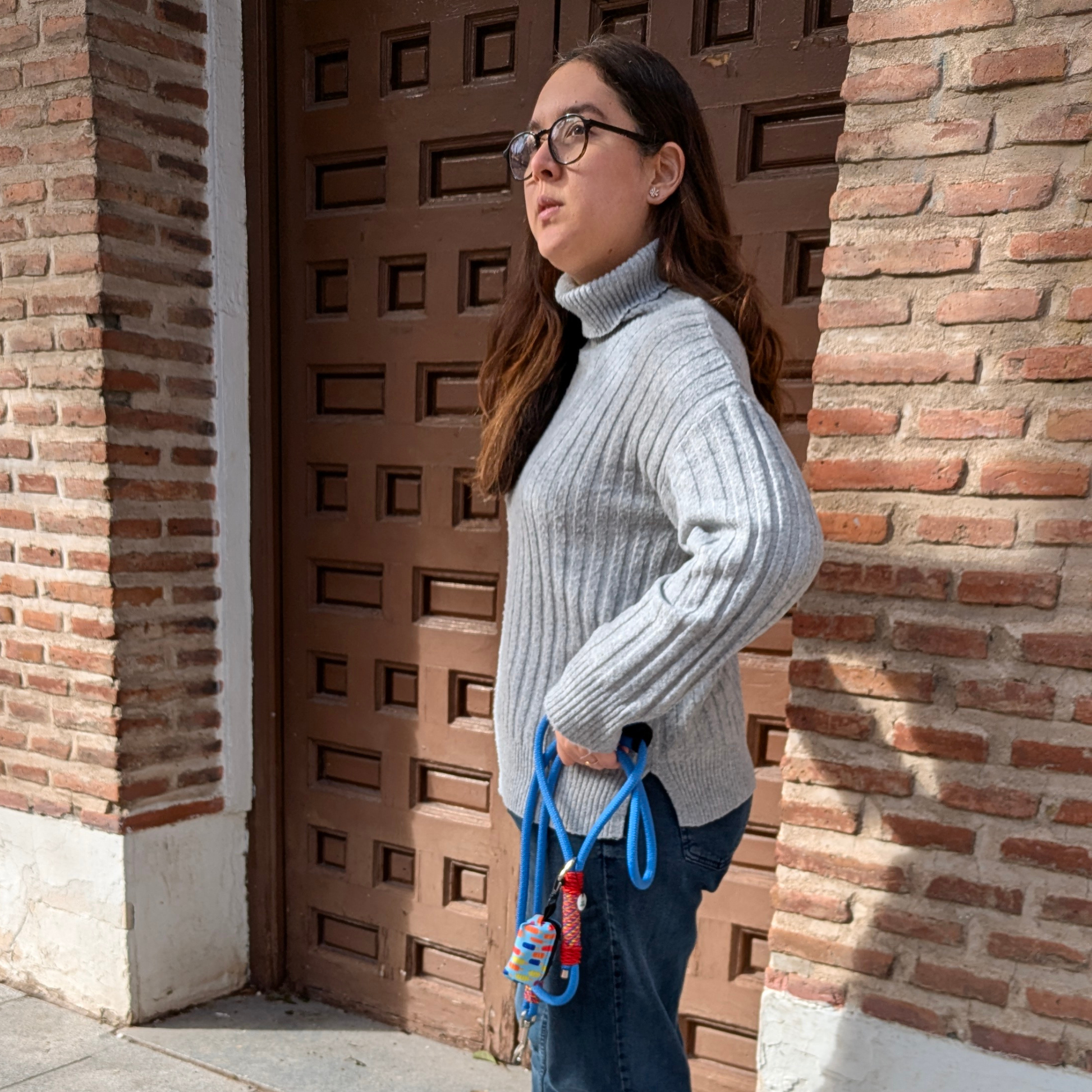 Correa de paseo para perro Festival de color celeste, resistente y cómoda, ideal para paseos seguros con tu mascota.