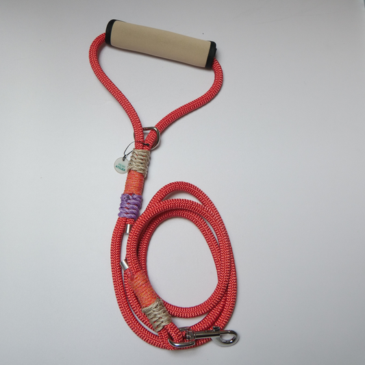 Correa de paseo para perro rosa con diseño de fresa, ideal para paseos cómodos y seguros.
